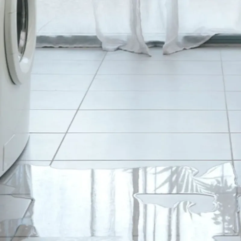 Appliance Leak Cleanup in Round Lake, IL