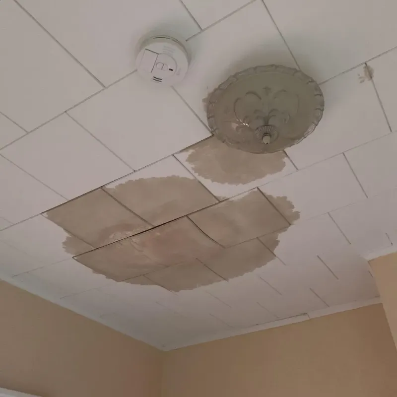 Ceiling Water Damage Repair in Round Lake, IL
