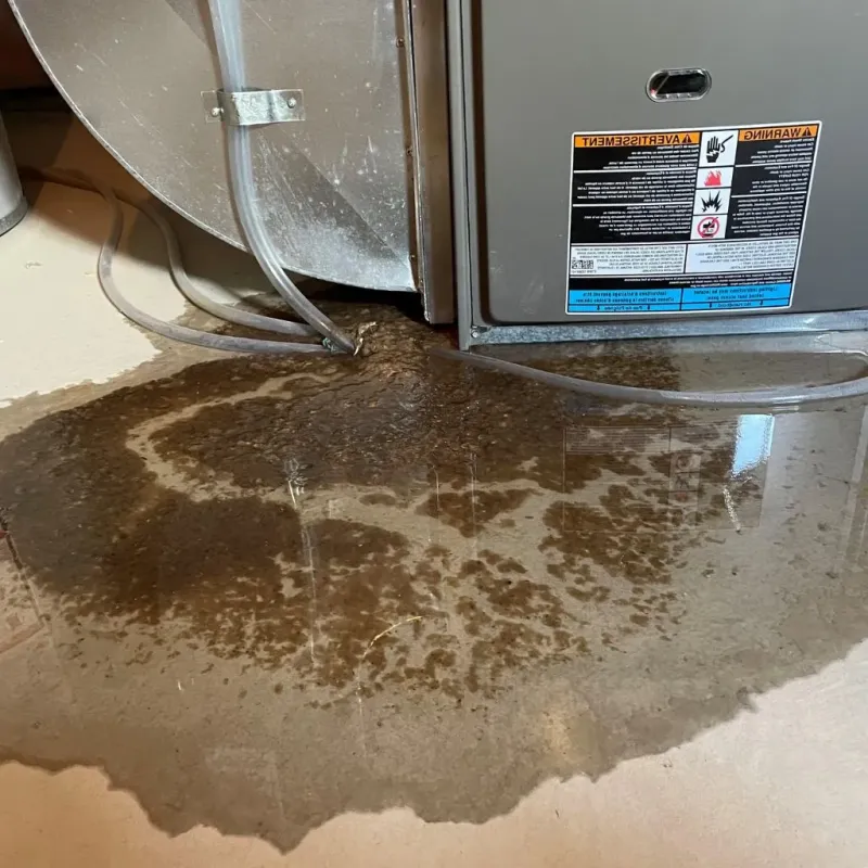 Pipe Burst and Leak Restoration in Round Lake, IL