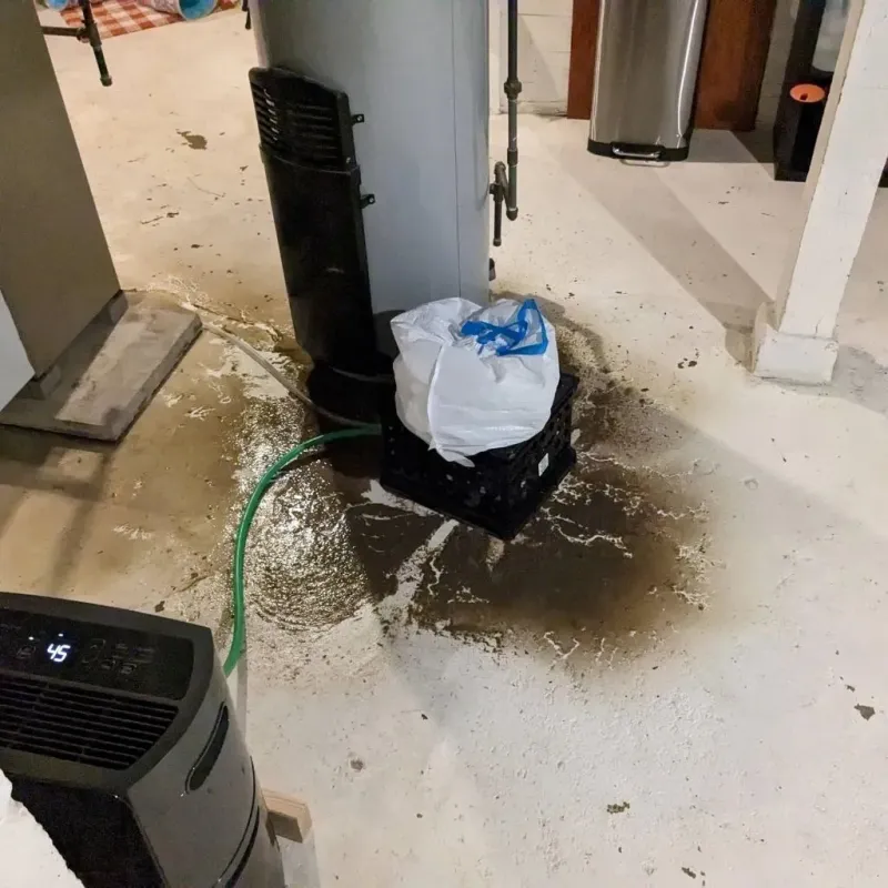 Sewage Backup Cleanup Service in Round Lake, IL